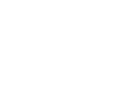 AION — Projects Development Consultancy
